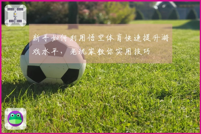 新手如何利用悟空体育快速提升游戏水平，老玩家教你实用技巧