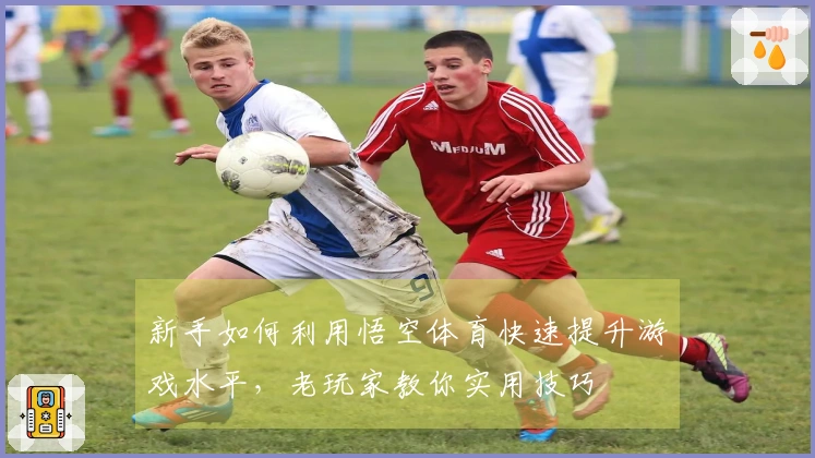 新手如何利用悟空体育快速提升游戏水平，老玩家教你实用技巧